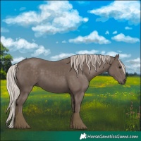 Horse Color:Silver Black