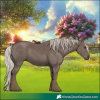 Horse Color:Silver Black 