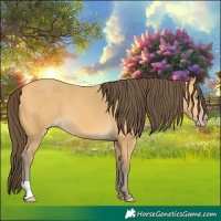 Horse Color:Amber Cream Champagne 