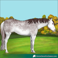 Horse Color:White Spotted Chocolate Brown Chinchilla Ice Mushroom Splash 