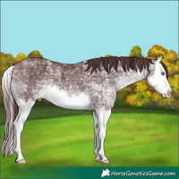 Horse Color:White Spotted Chocolate Brown Chinchilla Ice Mushroom Splash