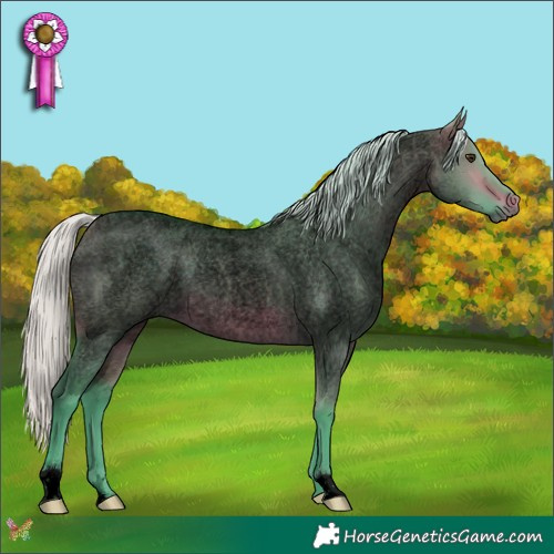 Horse Color:Void Watercolor Silver Brown Roan Dun 