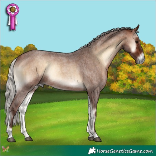 Horse Color:Silver Bay Roan Onyx Rabicano 