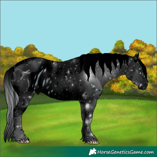 Horse Color:ERROR: UNKNOWN ANOMALY