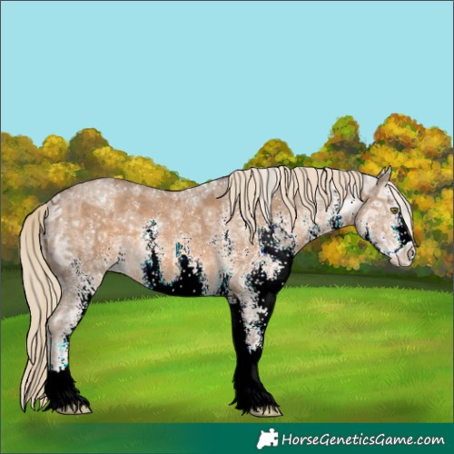 Horse Color:White Spotted Chocolate Palomino Ice 
