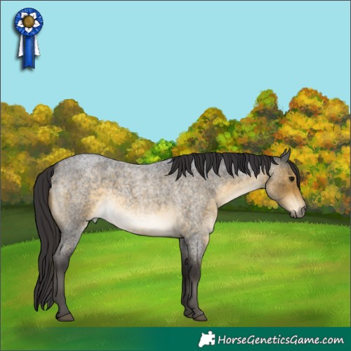 Horse Color:Buckskin Roan 