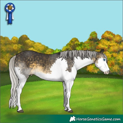 Horse Color:Silver Buckskin Splash 