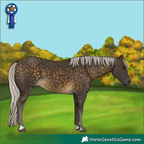 Horse Color:Silver Buckskin 