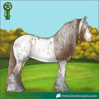 Horse Color:Gray White Spotted Perlino Dun Blanket 