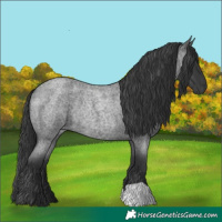 Horse Color:Blue Roan Rabicano 