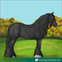 Horse Color:Black Rabicano 