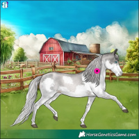 Horse Color:Platinum Chestnut Pearl Splash