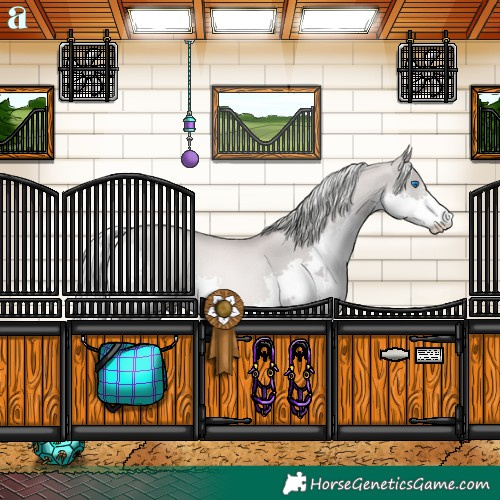Horse Color:Platinum Chestnut Pearl Splash 