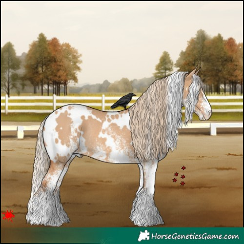 Horse Color:White Spotted Red Dun Rabicano 