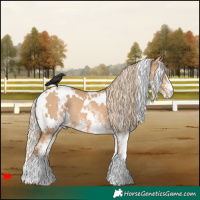 Horse Color:White Spotted Red Dun Rabicano 