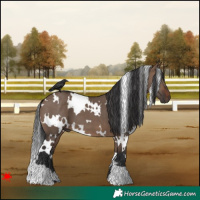 Horse Color:White Spotted Brown Dun 