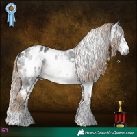 Horse Color:Gray White Spotted Chocolate Palomino Sabino Appaloosa 