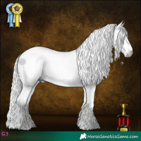 Horse Color:Gray White Spotted Chocolate Palomino Sabino Blanket 