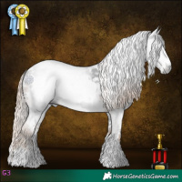 Horse Color:Gray White Spotted Chocolate Palomino Sabino Appaloosa 