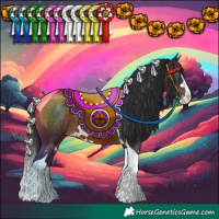 Horse Color:White Spotted Brown Splash Tobiano Rabicano
