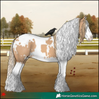 Horse Color:White Spotted Red Dun Splash 