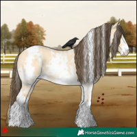Horse Color:White Spotted Amber Cream Champagne Dun Sabino 