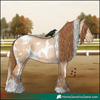 Horse Color:White Spotted Red Dun Pearl 