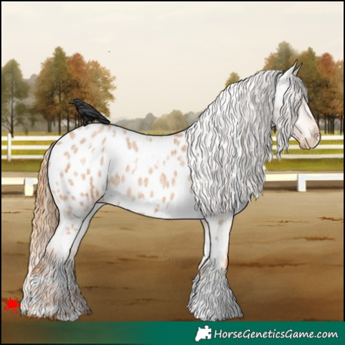 Horse Color:White Spotted Red Roan Blanket