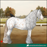 Horse Color:White Spotted Red Roan Blanket 