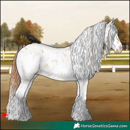 Horse Color:White Spotted Bay Dun Near Leopard