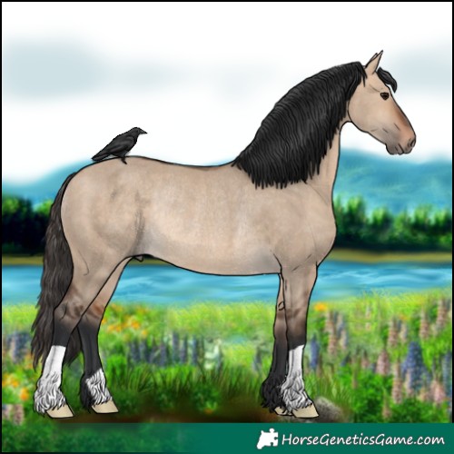 Horse Color:Bay Dun Rabicano 