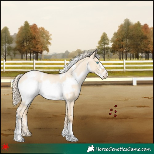 Horse Color:White Spotted Palomino Pearl Dun Frame Rabicano 