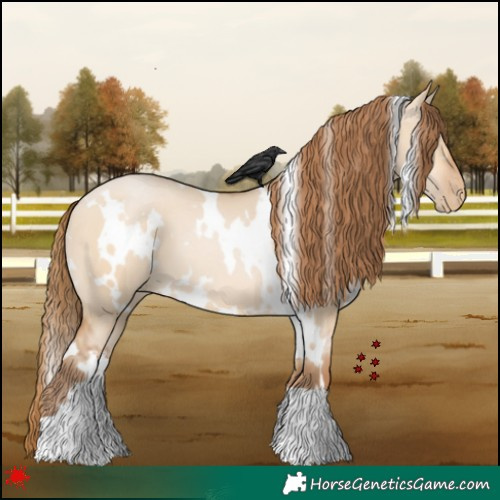 Horse Color:White Spotted Bay Pearl Dun