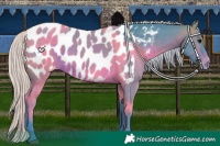 Horse Color:Watercolor White Spotted Silver Brown Appaloosa