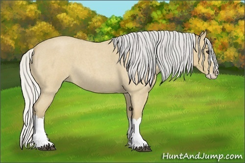 Horse Color:Silver Buckskin Roan Splash 