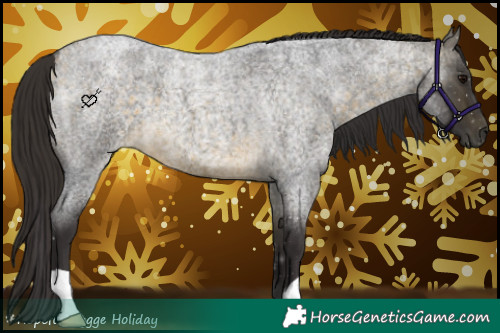 Horse Color:Buckskin Roan 