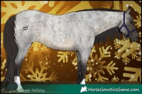 Horse Color:Buckskin Roan 