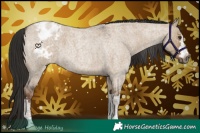 Horse Color:Gray Liver Red Dun Roan Blanket 