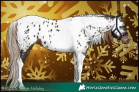 Horse Color:Gray Plaid  Liver Chestnut Tobiano Appaloosa 