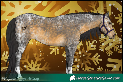 Horse Color:Buckskin Ice
