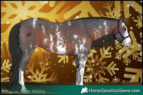 Horse Color:Brown Sabino Varnish