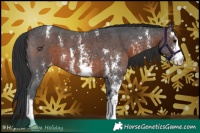 Horse Color:Brown Sabino Varnish 