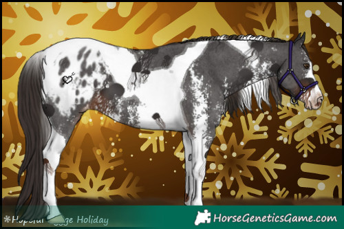 Horse Color:Liver Chestnut Sabino Tobiano Blanket 