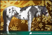 Horse Color:Liver Chestnut Sabino Tobiano Blanket 