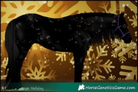 Horse Color:Void Liver Red Dun Sabino 