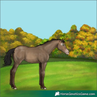 Horse Color:Gray Sable Champagne Dun Sabino 