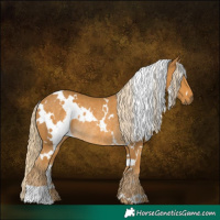 Horse Color:White Spotted Palomino Rabicano