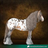 Horse Color:Buckskin Blanket 
