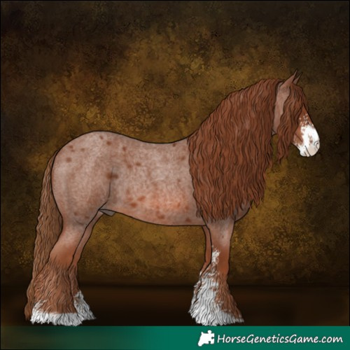 Horse Color:Red Roan Sabino Rabicano