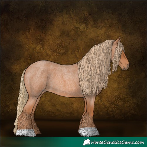 Horse Color:Red Roan 